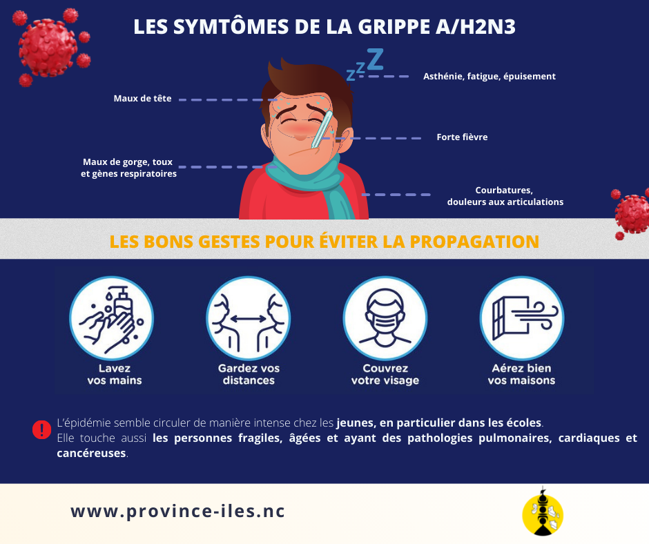 Epidémie Grippe A
