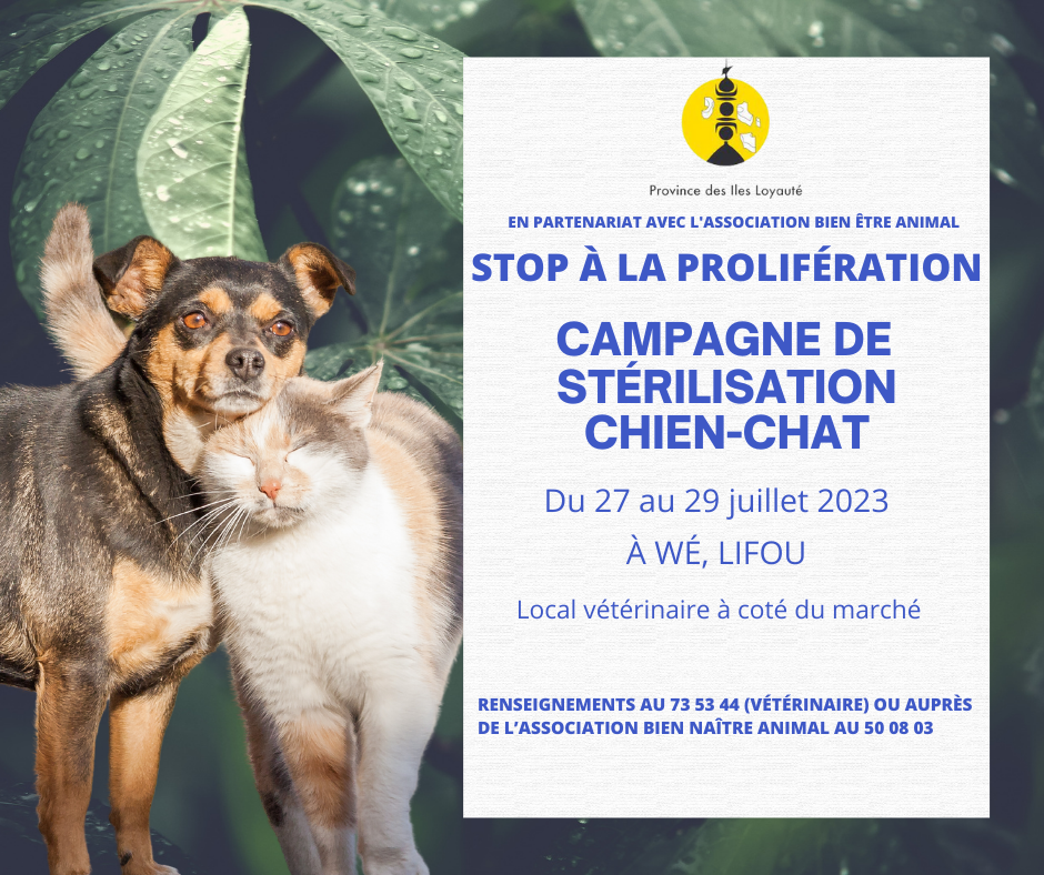 affiche stérilisation Chien-chat