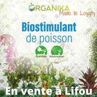 affiche organika