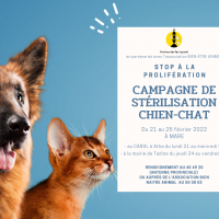 CAMPAGNE DE STÉRILISATIONS SUR MARE
