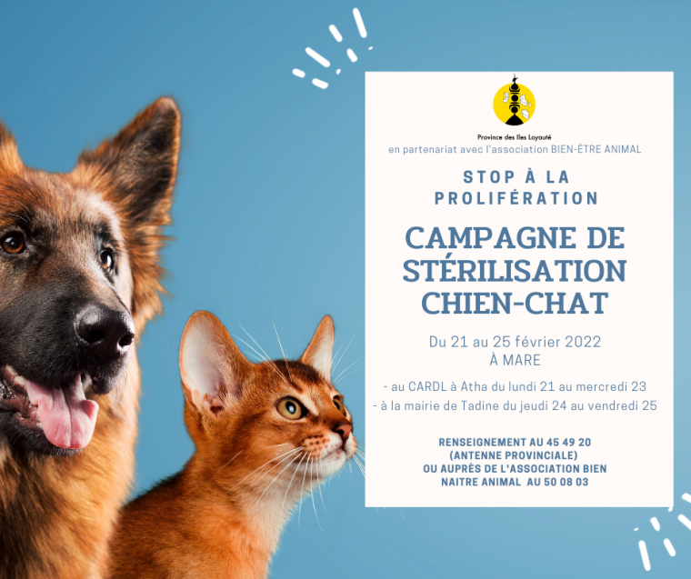 CAMPAGNE DE STÉRILISATIONS SUR MARE
