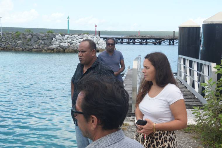 visite charlotte logeais